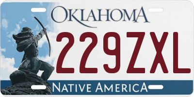 OK license plate 229ZXL