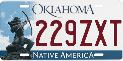 OK license plate 229ZXT