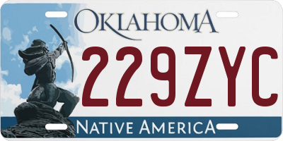 OK license plate 229ZYC