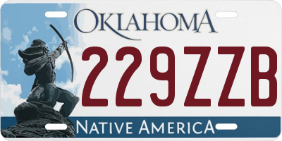 OK license plate 229ZZB