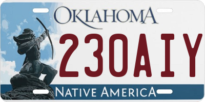 OK license plate 230AIY