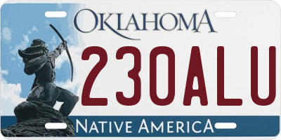 OK license plate 230ALU