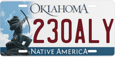 OK license plate 230ALY