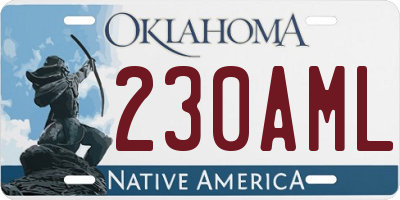 OK license plate 230AML