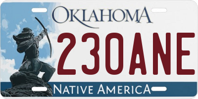 OK license plate 230ANE
