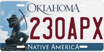 OK license plate 230APX