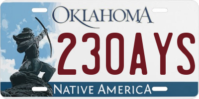 OK license plate 230AYS