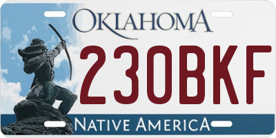 OK license plate 230BKF