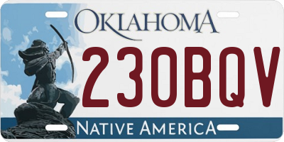 OK license plate 230BQV