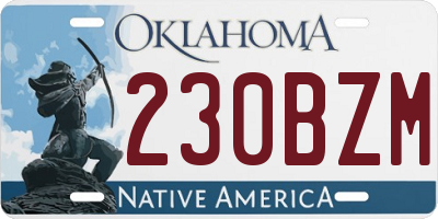 OK license plate 230BZM