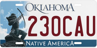 OK license plate 230CAU