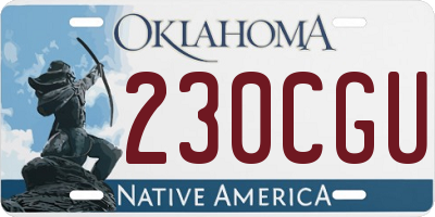 OK license plate 230CGU