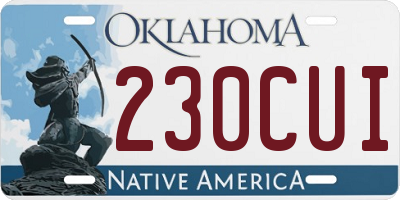 OK license plate 230CUI