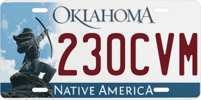 OK license plate 230CVM