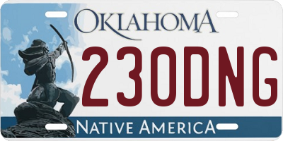 OK license plate 230DNG