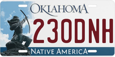 OK license plate 230DNH