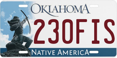 OK license plate 230FIS