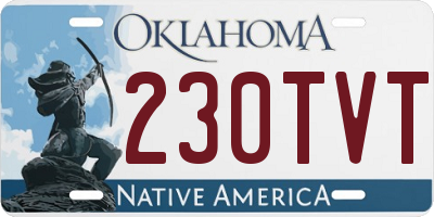 OK license plate 230TVT
