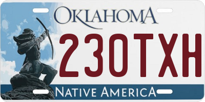 OK license plate 230TXH