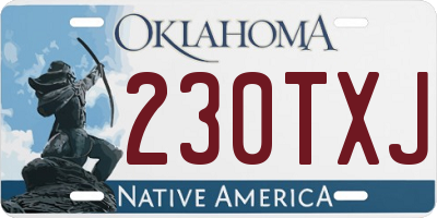 OK license plate 230TXJ