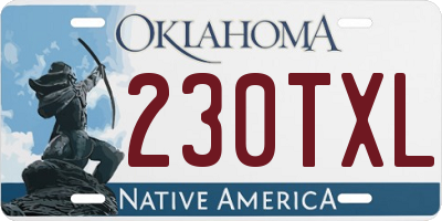 OK license plate 230TXL