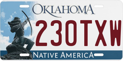 OK license plate 230TXW
