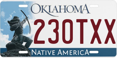 OK license plate 230TXX