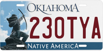 OK license plate 230TYA