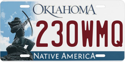 OK license plate 230WMQ