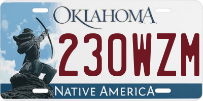 OK license plate 230WZM