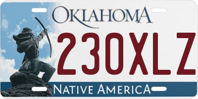 OK license plate 230XLZ