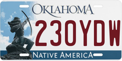 OK license plate 230YDW