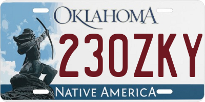 OK license plate 230ZKY