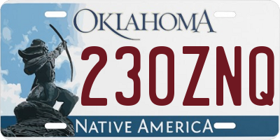 OK license plate 230ZNQ