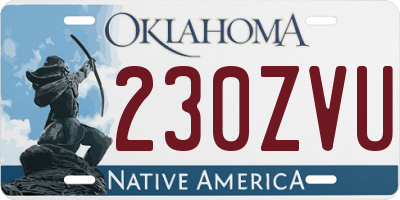 OK license plate 230ZVU