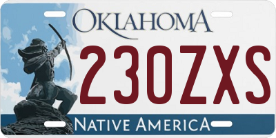 OK license plate 230ZXS