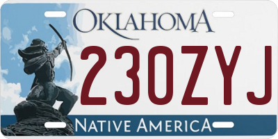 OK license plate 230ZYJ