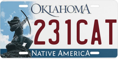 OK license plate 231CAT