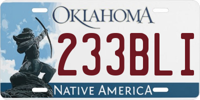 OK license plate 233BLI