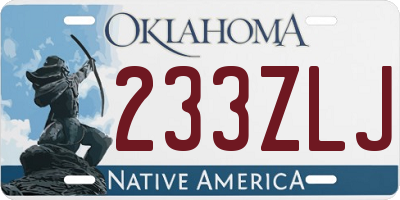 OK license plate 233ZLJ