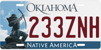 OK license plate 233ZNH