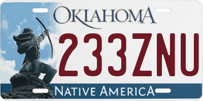 OK license plate 233ZNU