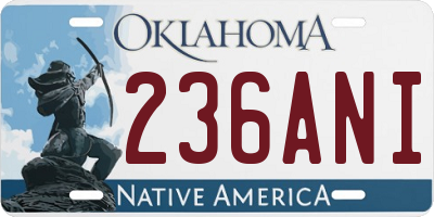 OK license plate 236ANI