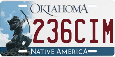 OK license plate 236CIM