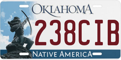 OK license plate 238CIB