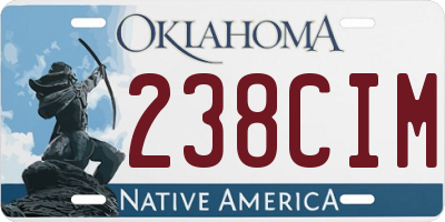 OK license plate 238CIM