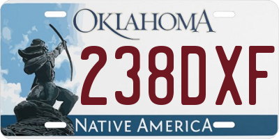 OK license plate 238DXF