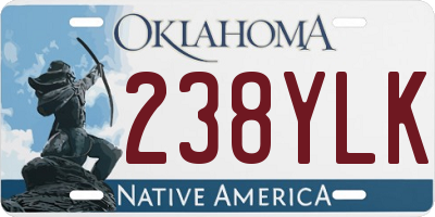 OK license plate 238YLK