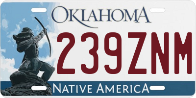 OK license plate 239ZNM