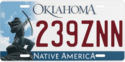 OK license plate 239ZNN